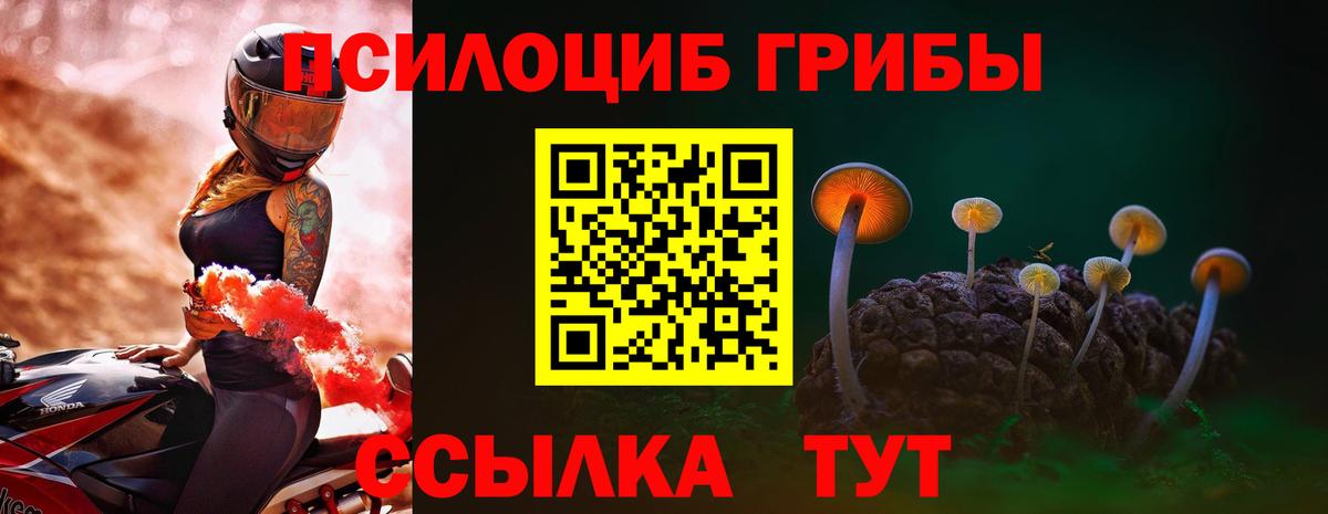 Ростов-на-Дону  Галлюциногенные грибы MAGIC MUSHROOMS  Вход с VPN 